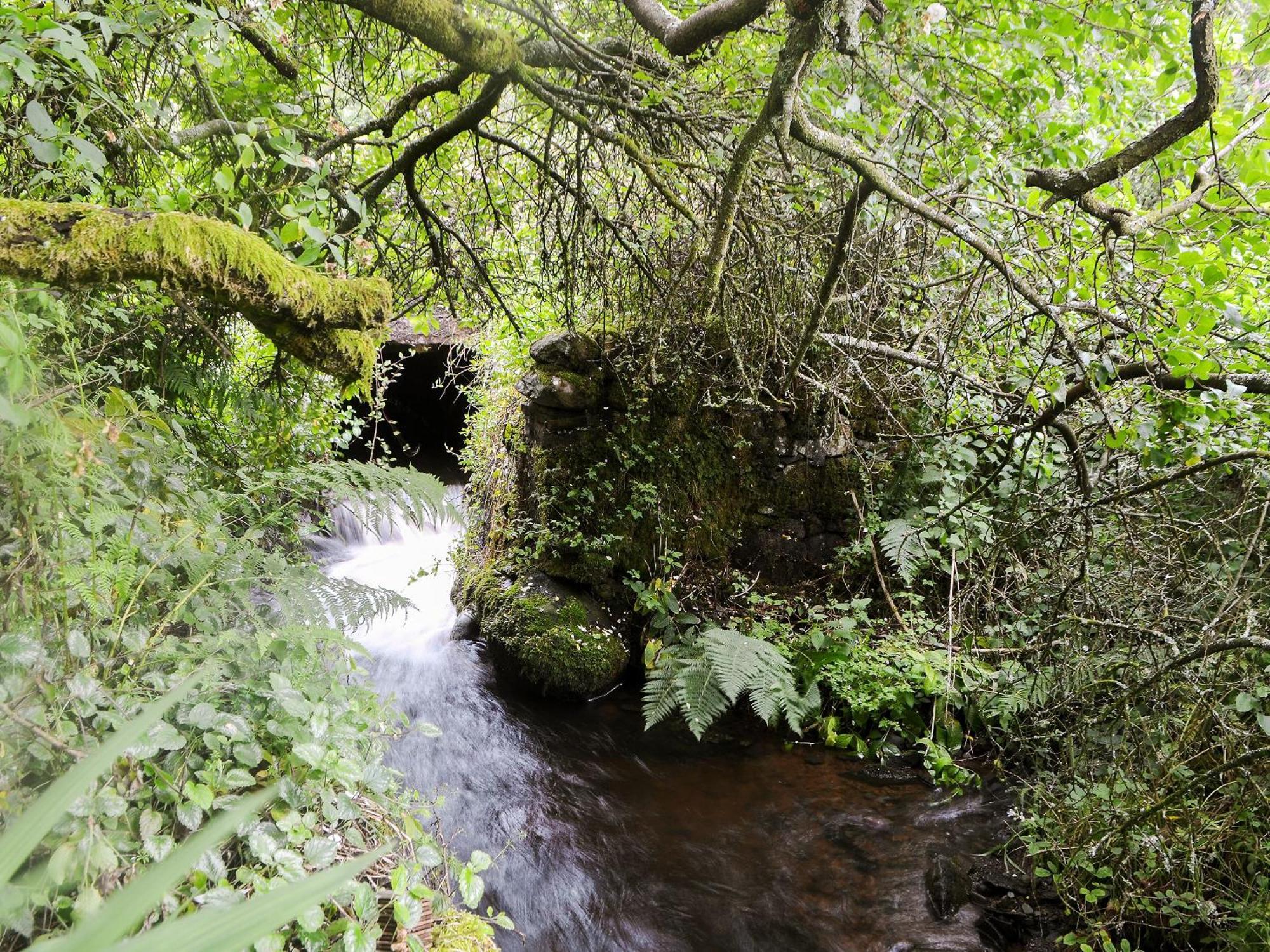 The Cottage Blackwood  Εξωτερικό φωτογραφία